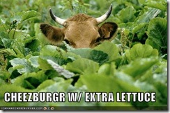cow-lettuce-burger (Small)
