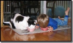cat-child-eating