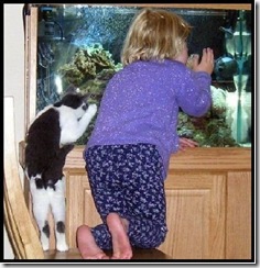 cat-child-fish