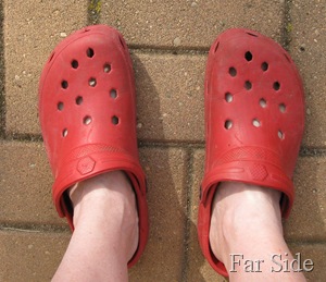 Old Red crocs