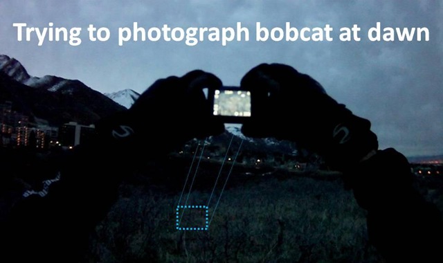 [Snapping Bobcat pic[4].jpg]