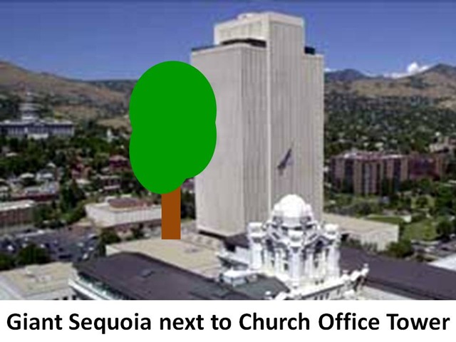 [Sequoia Church Tower[4].jpg]