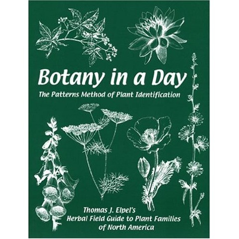 [BotanyinaDay6.jpg]