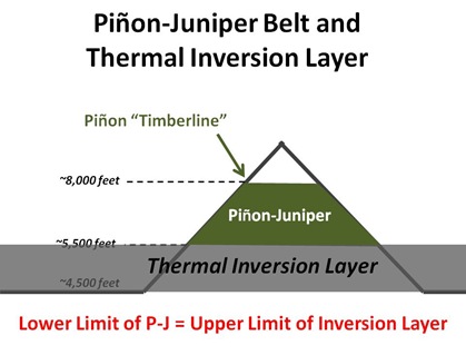 PJ Belt Thermal