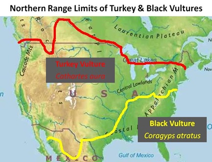 Vulture Range Limit Map