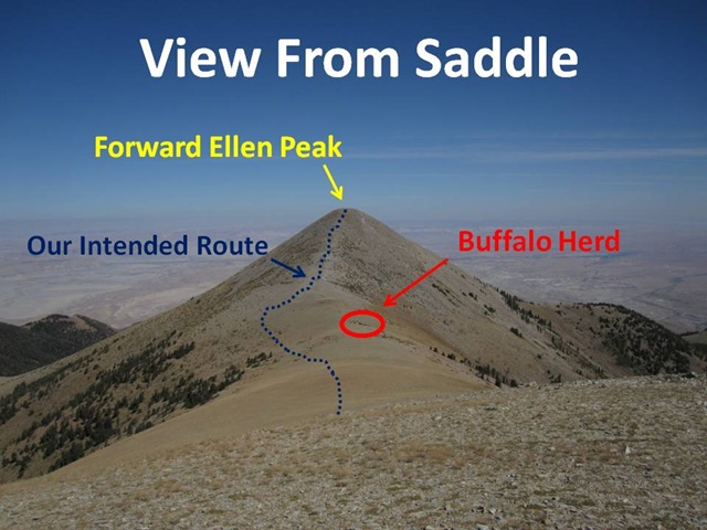 [Saddle View[5].jpg]