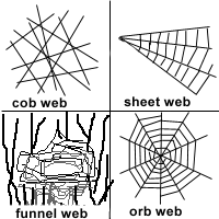 [spiders_webs[4].gif]