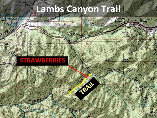[Lambs Trail Map[4].jpg]