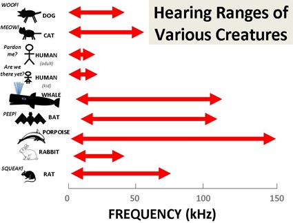 Hearing Ranges