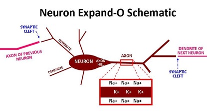 Neuron Expand-O