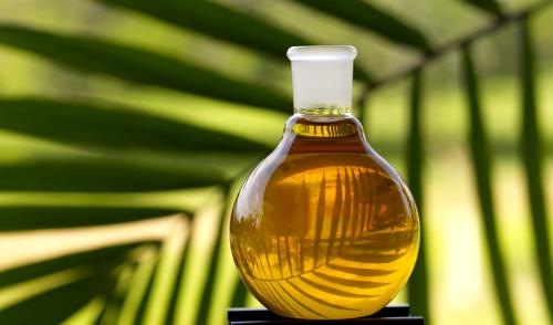 [aceites-comestibles-y-biodiesel-de-aceite-de-las-existencias-para-la-venta-112160z1[2].jpg]