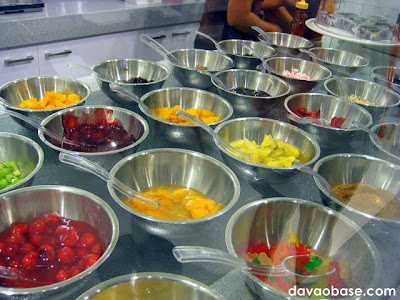 Mouth-watering toppings for your frozen yogurt preparations at YoGo