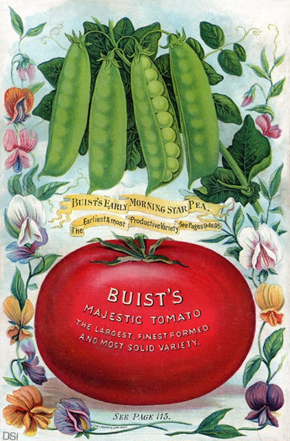 buist's-peas-&-tomato