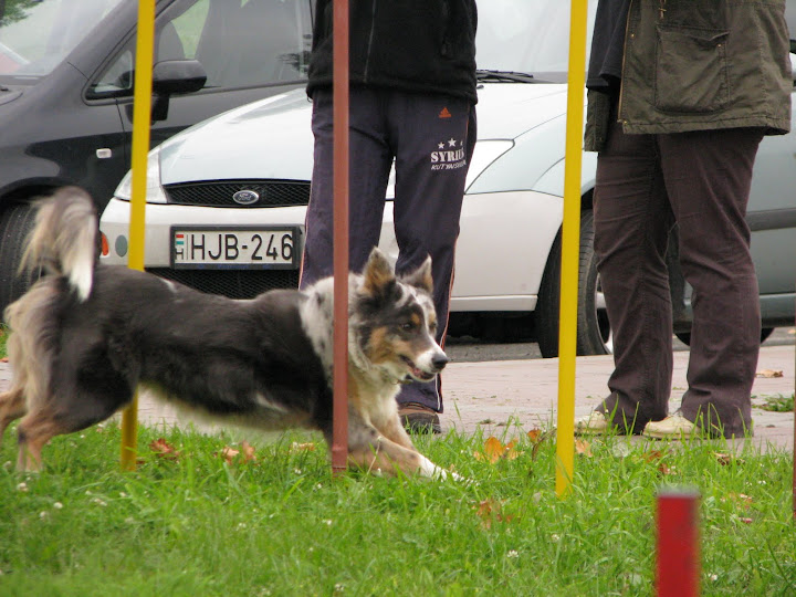 IMG_1187.JPG
