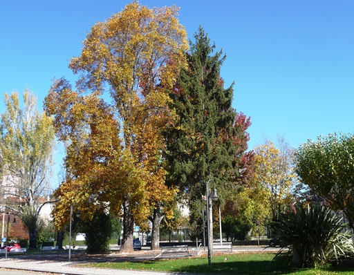 Agueda - praça dr. antonio breda 1