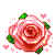 15.png