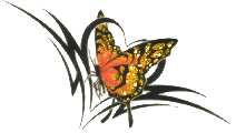 4.gif