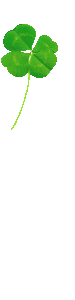 56.gif