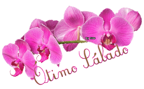 otimosabado.png
