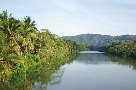 La chaîne centrale vue depuis la côte orientale de Palawan (au Sud de Roxas), 19 août 2005. Photo : J.-M. Gayman