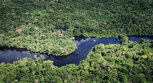 Cristalino Jungle Lodge, Mato Grosso. Brésil.