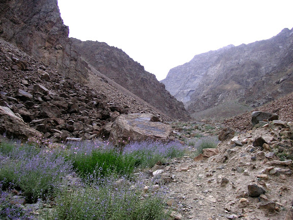 Gorge de Gishkun, 1800 m dans la chaîne de Vanj. Biotope d'Alpherakya devanica vanjica ssp. nova, juillet 2008. Photo : Jean-Marie Desse.