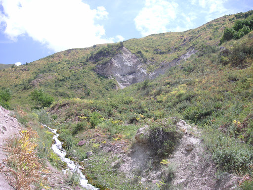23 juillet. Biotope de Z. (A.) cocandica (au dessus de Ganishou). Photo : Jean-François Charmeux