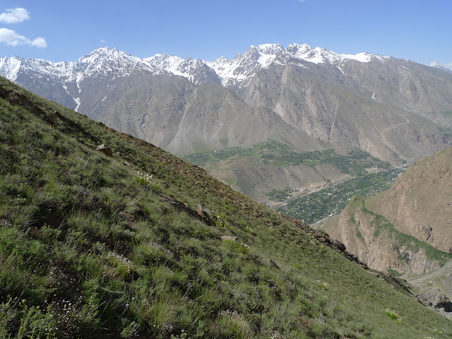 Biotope de Turanana kotzschiorum : Sangou-Dara, 2884 m (juste à l'est de Khorog, Pamir occidental), 10 juillet 2009. Photo : J.-F. Charmeux