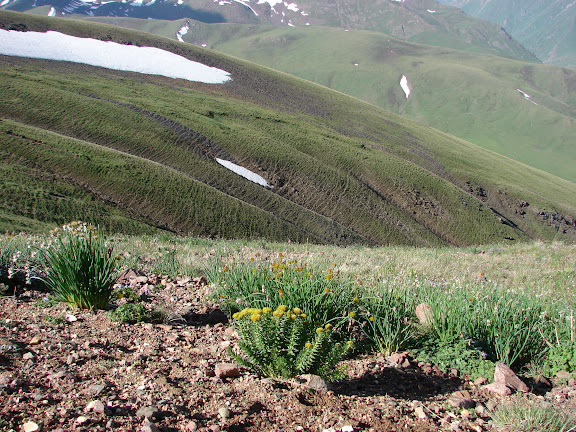 Été 2006 : Expédition au Kyrgyzistan - Alabel Pass dans le Talas Alatau, 27 juin 2006. Photo : E. Zinszner