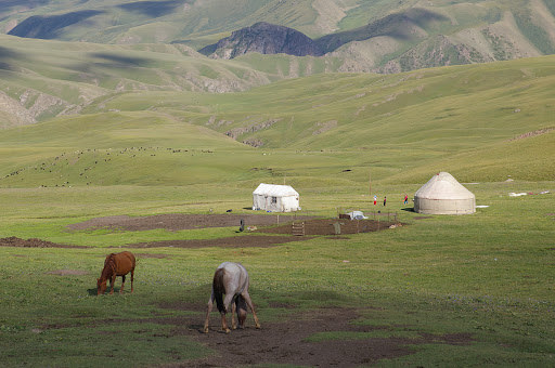 Yourte kirghize près de la Dolon Pass (3000 m), 17 juillet 2006. Photo : J.-M. Gayman