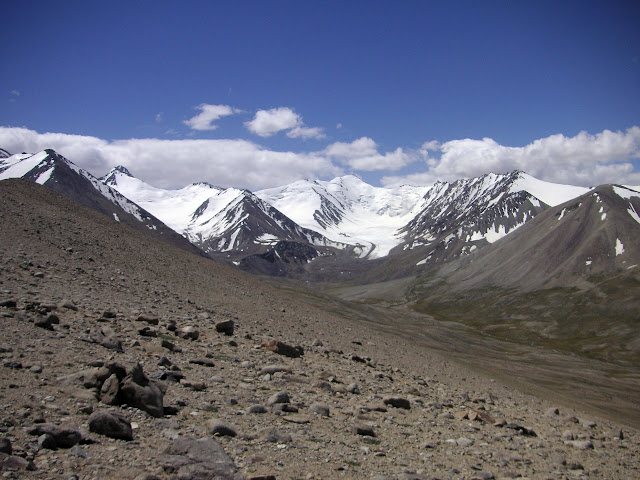 Mont Kyzyldong (5700 m) au sud du col Koi-Tezek (4271 m), à l'Est de Jelondy ; N 37° 26.882' E 72° 48.717', Pamir, Tadjikistan, 20 juillet 2007. Biotope de Synchloe callidice. Photo : F. Michel