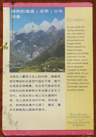 Au début (2600 m) du sentier conduisant à la station botanique de Yulong (3200 m), 17 août 2010. Photo : J.-M. Gayman