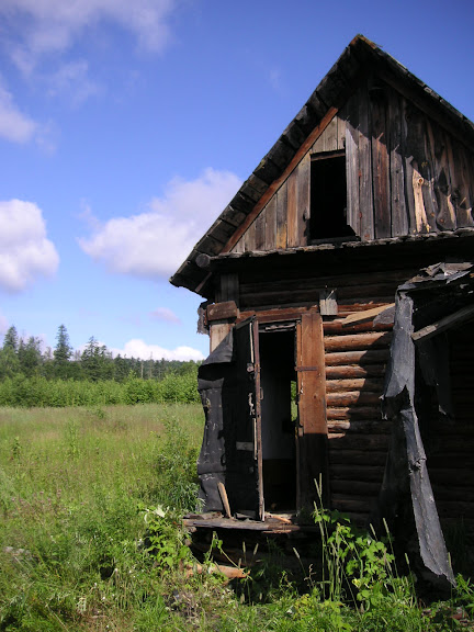 Rhopalocères de l'Oussouri (Primorye) - 10 km au nord de Krasnorechenskij, près de Dal'negorsk, 25 juillet 2010. Photo : J. Michel
