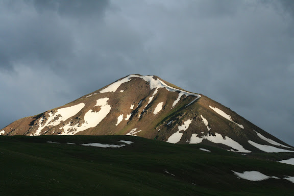 Papillons de Kirghizie - Alabel Pass, 3300 m (Kyrgyzistan), 28 juin 2006. Photo : J. Ouvaroff