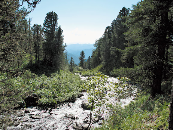 Dans la descente depuis les lacs : biotope (1000 m) de Parnassius stubbendorffii. 5 juillet 2010. Photo : J. Marquet