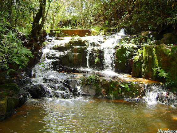 Lépidoptères de Pitangui au Minas Gerais - Cachoeirinha (petite cascade). Pitangui (MG, Brésil), 22 mars 2010. Photo : Nicodemos Rosa