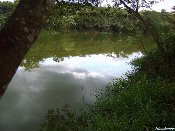 Lépidoptères de Pitangui au Minas Gerais - O RIO PARÁ. 3 juin 2010. Photo : Nicodemos Rosa