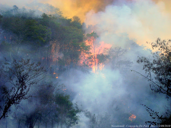Incendie de forêt près de Pitangui (MG, Brésil), 12 septembre 2010. Photo : Nicodemos Rosa