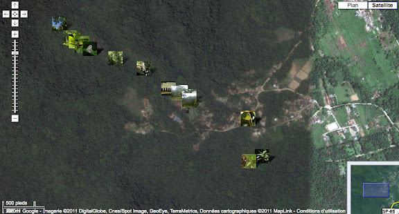 Localisation des photos à Arariba