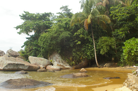 Ilha Grande (RJ), 18 février 2011. Photo : J.-M. Gayman