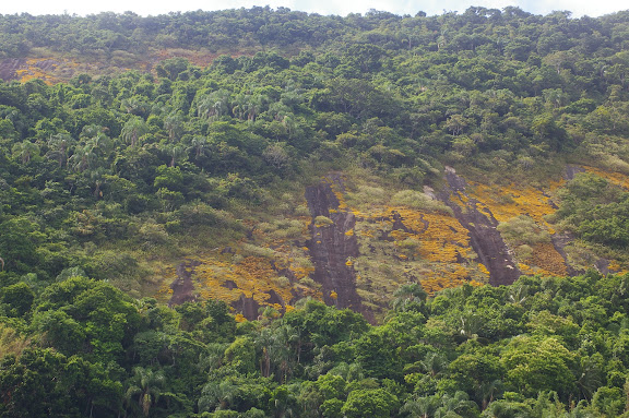 Formation de pains de sucre en terrain granitique. Pointa Grossa (Ilha Grande, RJ), 17 février 2011. Photo : J.-M. Gayman