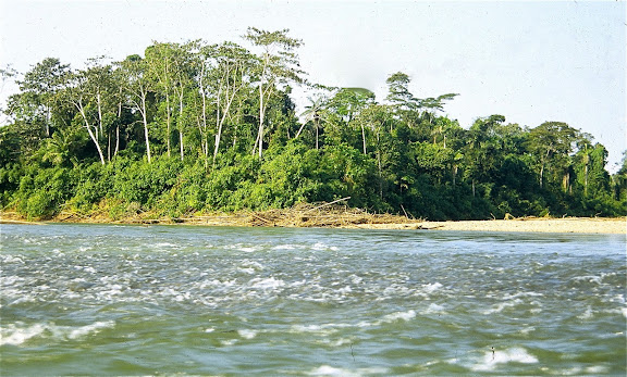 La Tambopata en amont du confluent avec le Rio Malinovski. Août 2004. Photo : J.-M. Gayman