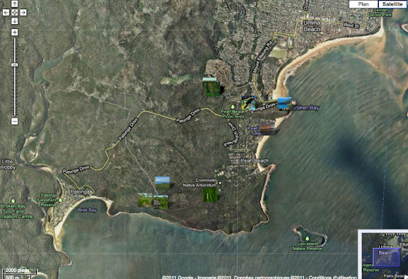 Hétérocères d'Australie - Localisation des photos autour d'Umina Beach