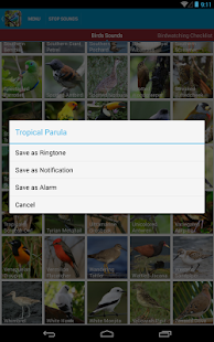 South American Birds Sounds Screenshots 14