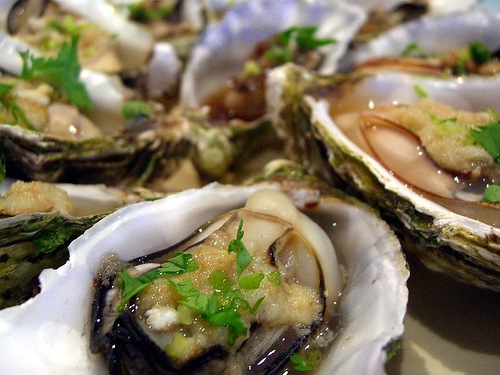 [oysters[2].jpg]