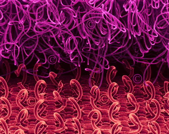 [velcro[4].gif]