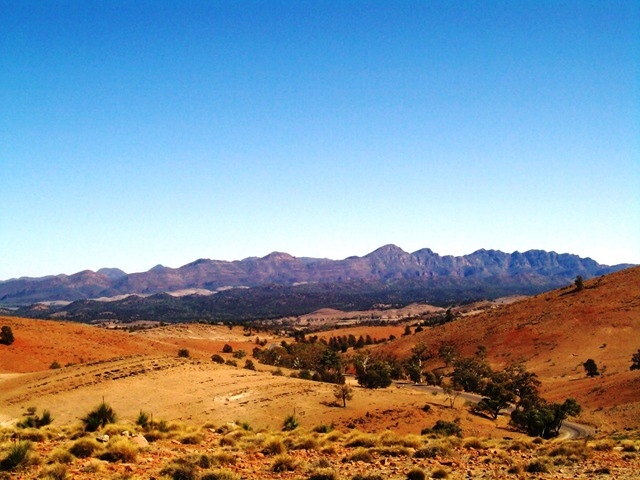[Wilpena Pound from Hocks Lookout[3].jpg]