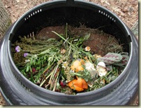 Compost Heap