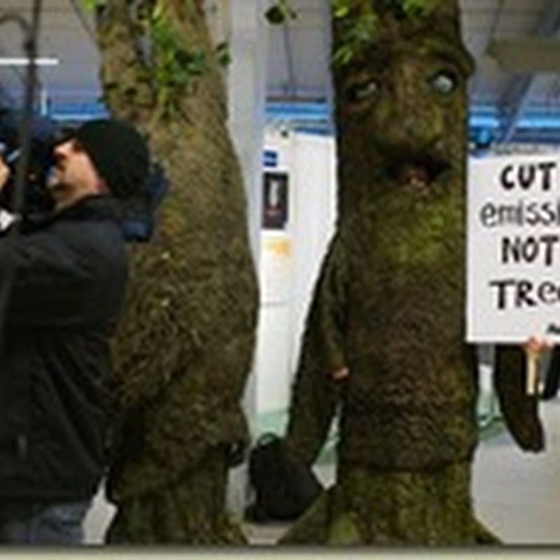 COP15: Leaks, AREVA and Tree People
