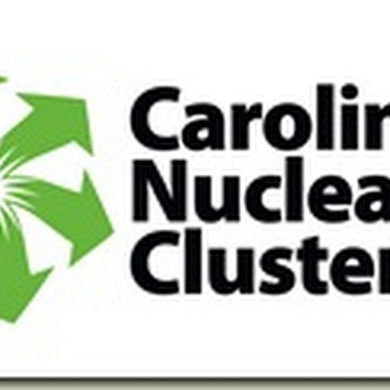 The Nuclear Cluster